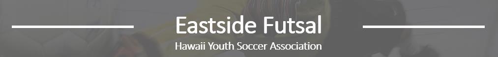 Eastside SC Futsal banner